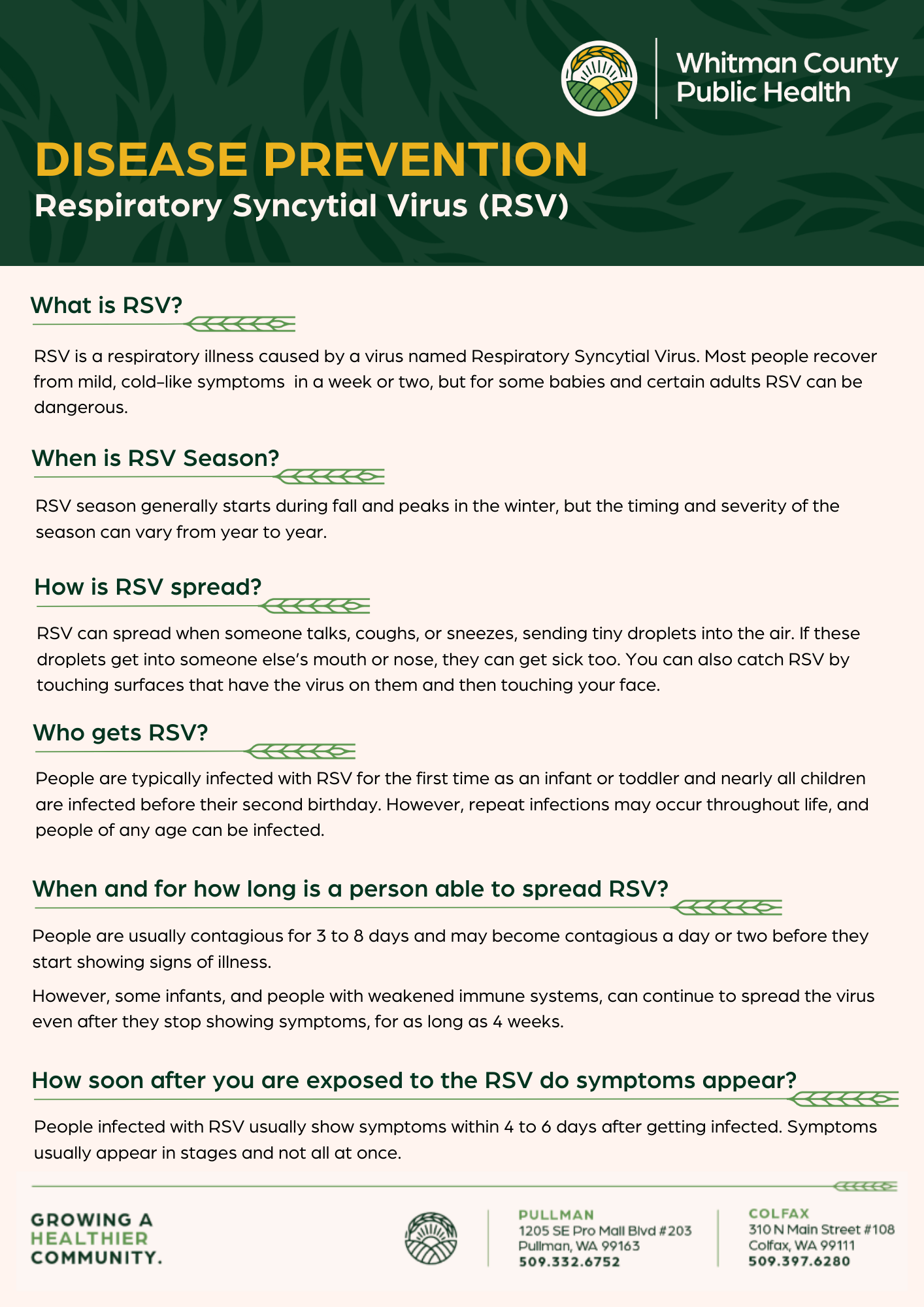 RSV Fact Sheet: Pg 1 Preview