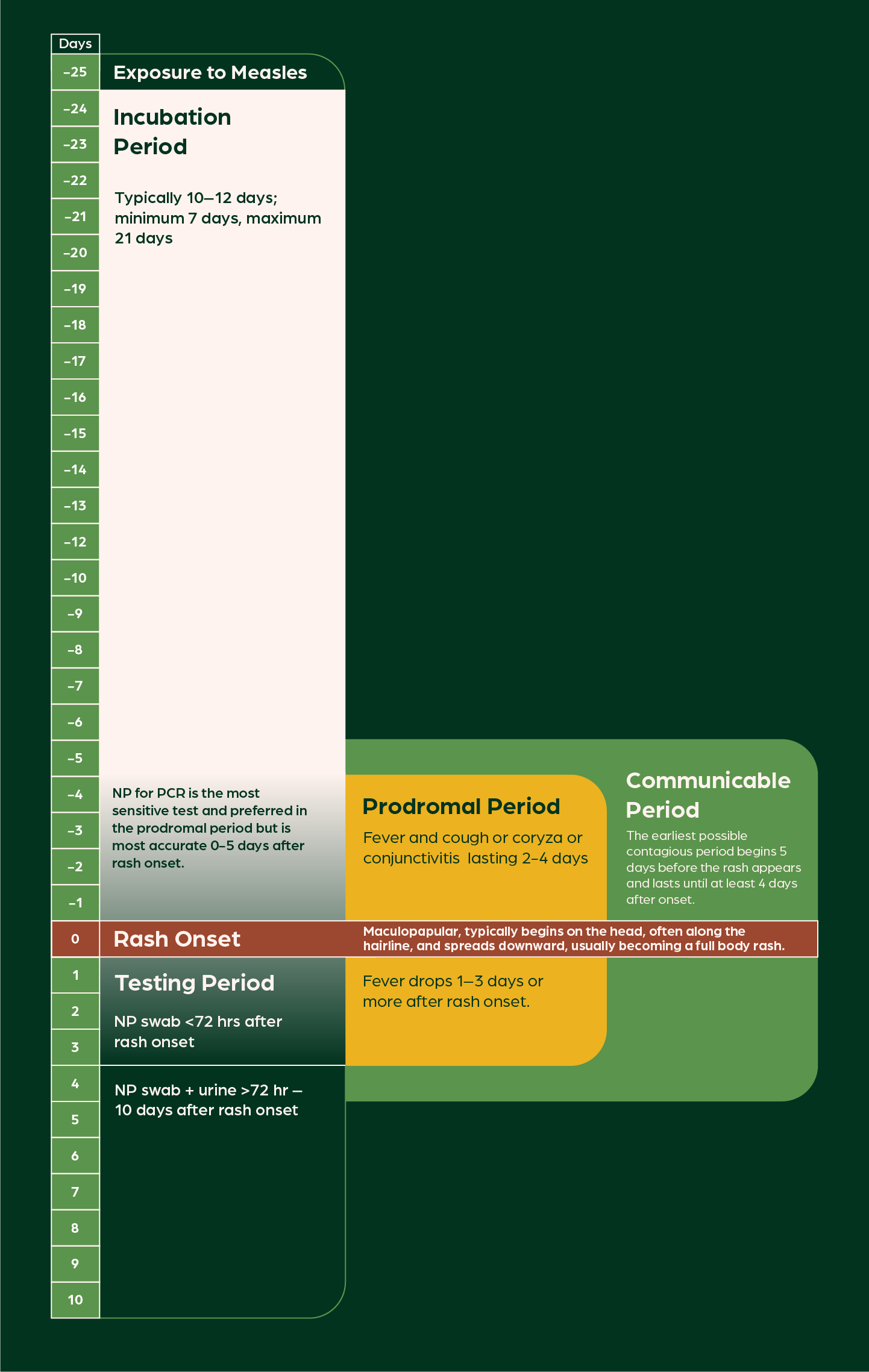 WCPH Measles Clinical Features Infographic Web